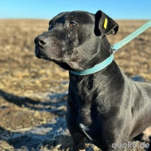 Bruno 12 20 soll ein tolles Leben kennenlernen