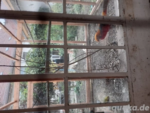 Vögel,  Zubehör  Bild 4