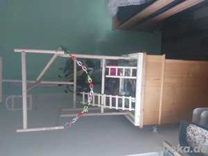 Freisitz  und käfig für wellensittich 