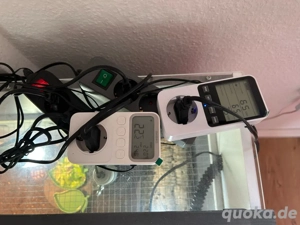 Sulcata Schildkröte