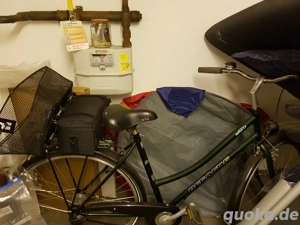 Pegasus Damenfahrrad, dunkelgrün mit Fahrradkorb, Schloss und Lenkertasche