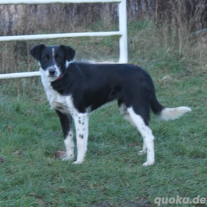 Bonnie - Traum vom eigenen Zuhause