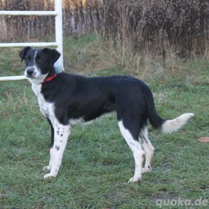 Bonnie - Traum vom eigenen Zuhause