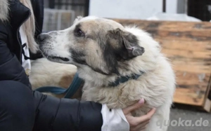Überlebenskünstler Karl-Hoinz sucht eine zweite Chance