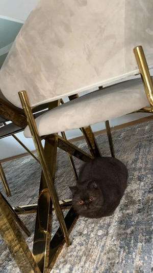 Lona 18.8.23 ist ein Mädchen