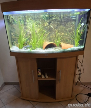 Axolotl Aquarium Set