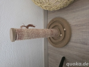 Bkh Katzen Prenses&Ares