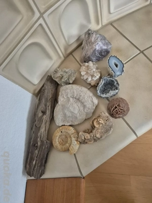 Steine Mineralien Fossilien Sammlung verschiedene Arten