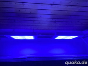 Philips Coral Care Gen2