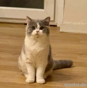 bkh Junge und Mädchen