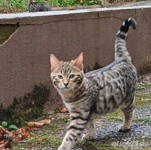 Tommy Sucht Personal  Bild 2