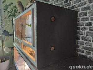 Terrarium Reptilien 120*60*60