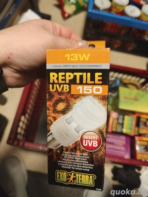Neue Lampen Reptilien Zubehör Terrarium 