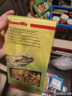 Zubehör Terrarium Reptilien 