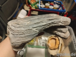 Zubehör Reptilien Terrarium 