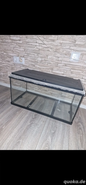 Aquarium 60cm zu verschenken 