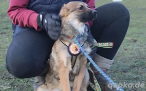 Möchtest du Barish zeigen, wie schön das Leben sein kann? 