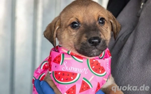 Summer bringt dir die Sonne ins Haus