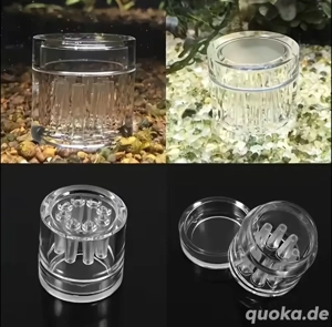 Hochwertige & effektive Planarienfalle (8-Loch) ohne CHEMIE! NEU Meerwasser Süßwasser Aquarium Bild 4