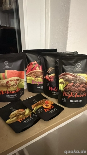 Kronengecko  mit viel zubehör    Bild 2