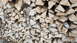 Brennholz 