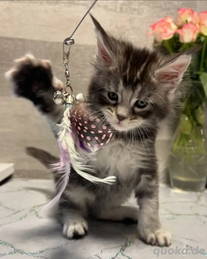 Mimi kann weiterhin in liebevolle Familien adoptiert werden.