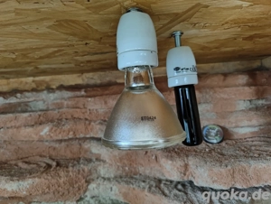Neue Lampen Reptilien Zubehör Terrarium 