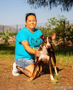 Pica   lebensfroher Rüde sucht sein Abenteuer Bild 2