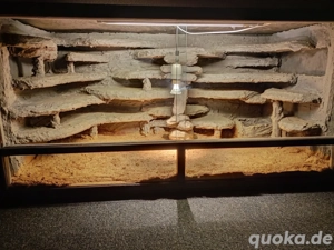 Holzterrarium 120x60x60 cm 