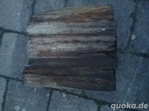 versteinertes Holz 