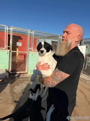 Bleibt Estrella allein zurück?