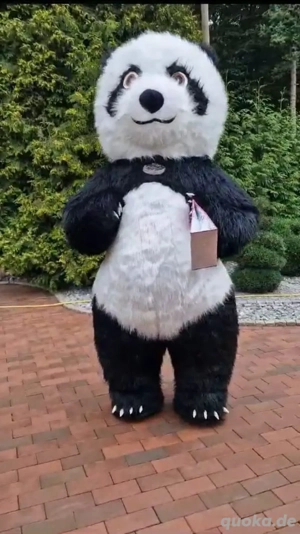  Original Panda-Maskottchen   echter Hingucker für jedes Event!