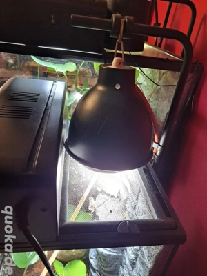 Terrarium Exo Terra Bild 2