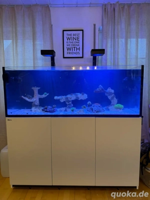 Red Sea Reefer 525 Meerwasseraquarium mit Unterschrank