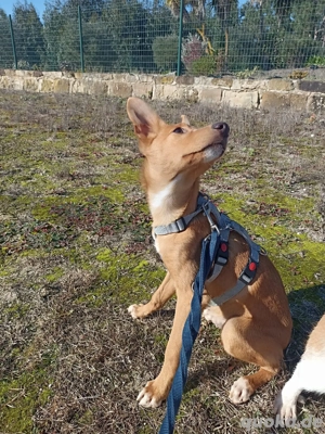 LUKA sucht sein Traumkörbchen Bild 3