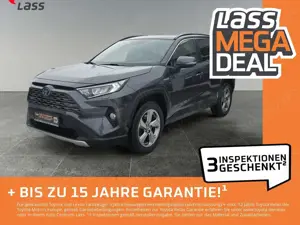 Toyota RAV 4 RAV4 2.5  Hybrid Team Deutschland +Technik-Paket+
