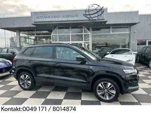 Skoda Karoq Tour,LED,Navi,Kamera,Lenkradheiz,Ganzjahre