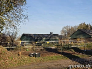 Pferdebox, Stallplatz, flexibel Versogung Bild 5