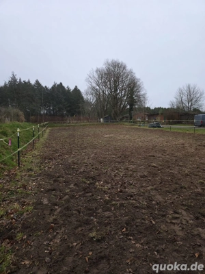 Pferdebox, Stallplatz, flexibel Versogung Bild 2