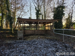 Pferdebox, Stallplatz, flexibel Versogung Bild 4