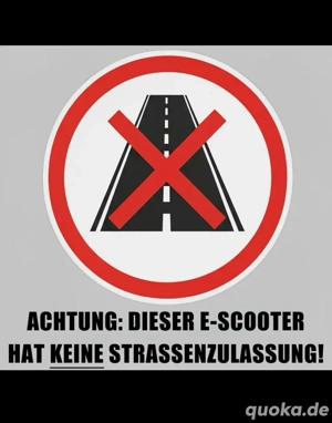 Joyor S8-S-Z Offroad