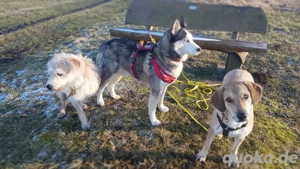 Unterkunft mit derartigen Hilfeleistungen die ich gern anbiete 