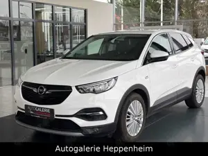 Opel Grandland X Innovation/AUT/NAV/SHZ/L-HEIZ/R-KAM