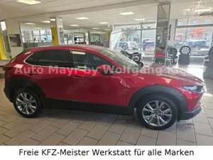 Mazda CX-30 2.0 Selection 2WD LED, Navi, DAB, App Bild 5