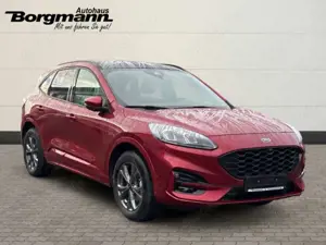 Ford Kuga Plug-In Hybrid ST-Line X Keyless Go - Elektr. Sitz Bild 4