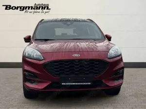 Ford Kuga Plug-In Hybrid ST-Line X Keyless Go - Elektr. Sitz Bild 3