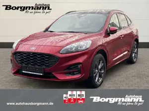 Ford Kuga Plug-In Hybrid ST-Line X Keyless Go - Elektr. Sitz