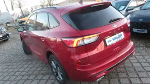 Ford Kuga ST-Line X 3,99% eff.Zins bis 28.02.2026 Bild 2