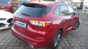 Ford Kuga ST-Line X 3,99% eff.Zins bis 28.02.2026 Bild 3