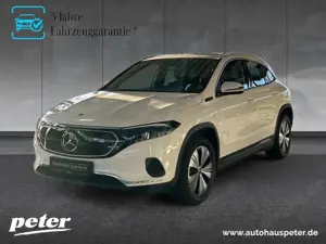 Mercedes-Benz EQA 250 + Progressive/LED/Kamera/DC-Laden/AHK/